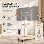Support TV mobile sur roulettes Elrik – 32 à 70"