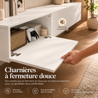 Détail d’une charnière à fermeture douce du meuble TV suspendu