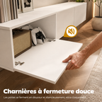 Détail d’une charnière à fermeture douce du meuble TV suspendu